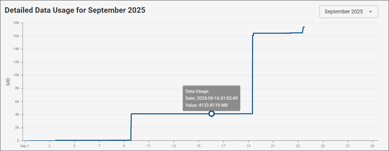Detailed data usage